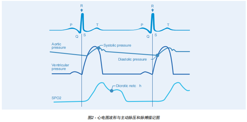 Rigel系列醫(yī)療測試設備之生命體征測量方法